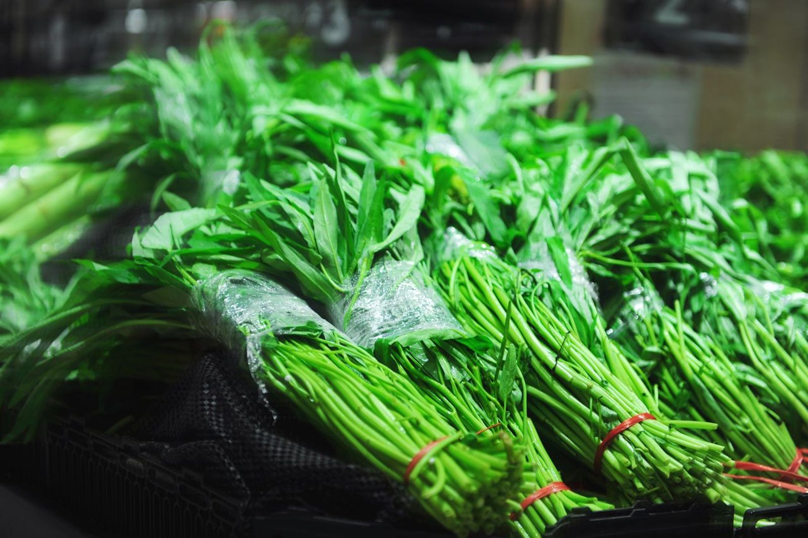 菜價Hold不住！豪雨重創減產　空心菜狂