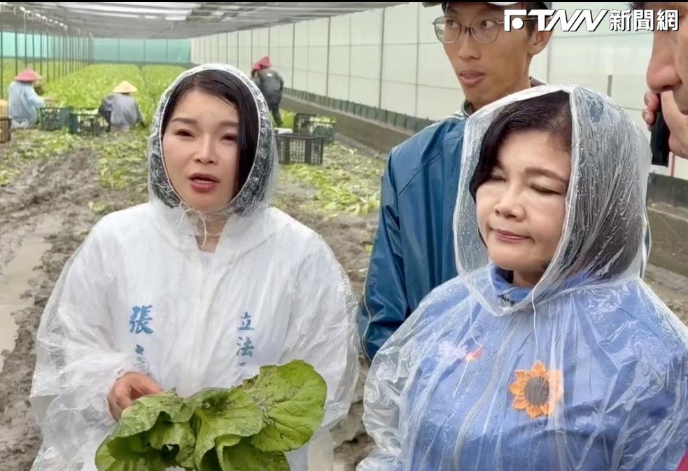 雲林豪雨菜農成重災戶　張嘉郡：協助爭取補