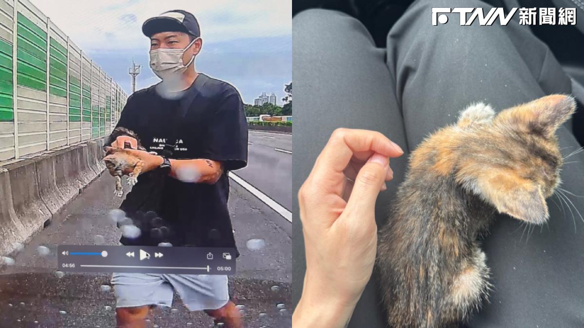 國道驚見小貓奄奄一息！玖壹壹洋蔥急折返救
