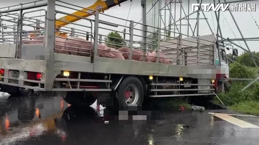 台南運豬車輾斃工程師！家屬淚崩「都是他賺